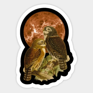 Full Moon Owls Sticker